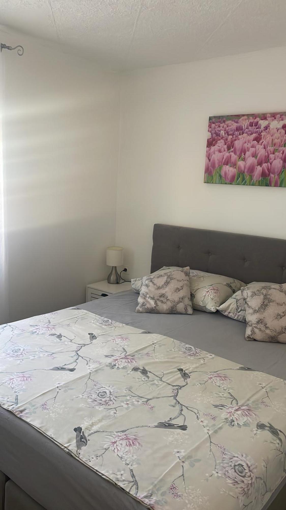 Apartments Punta Krusevo  Ngoại thất bức ảnh